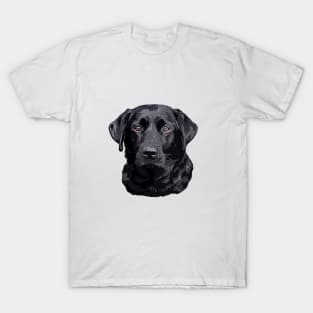 Labrador Retriever Black Dog T-Shirt